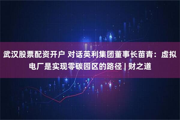 武汉股票配资开户 对话英利集团董事长苗青：虚拟电厂是实现零碳园区的路径 | 财之道